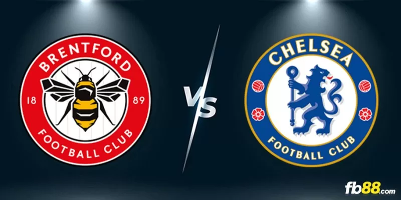 Soi kèo trận đấu Brentford vs Chelsea 22h00 02/03/2024