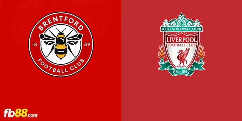 Soi kèo trận đấu Brentford vs Liverpool 19h30 17/02/2024