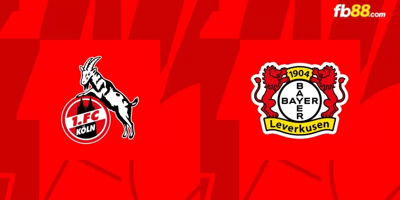 Soi kèo trận đấu Köln vs Bayer Leverkusen 21h30 03/03/2024