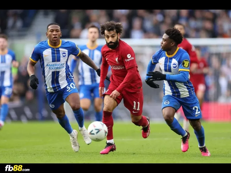 Nhận định Liverpool vs Brighton