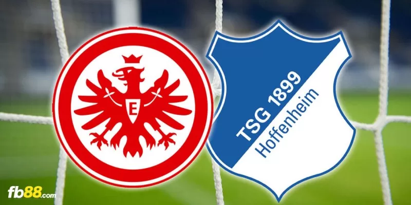 Soi kèo trận đấu Frankfurt vs Hoffenheim 23h30 10/03/2024