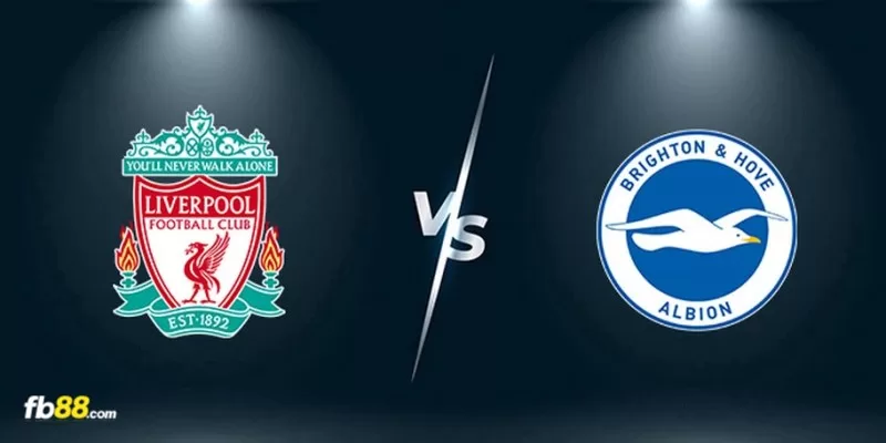 Soi kèo trận đấu Liverpool vs Brighton 20h00 ngày 31/03/2024