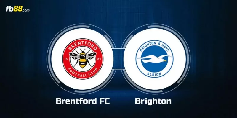 Soi kèo trận đấu Brentford vs Brighton 01h30 04/04/2024