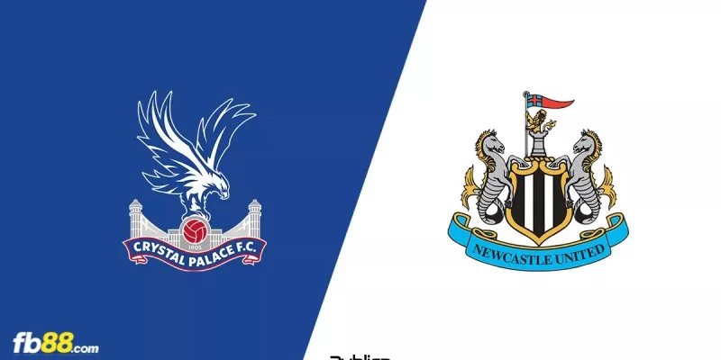 Soi kèo trận đấu Crystal Palace vs Newcastle 02h00 25/4/2024