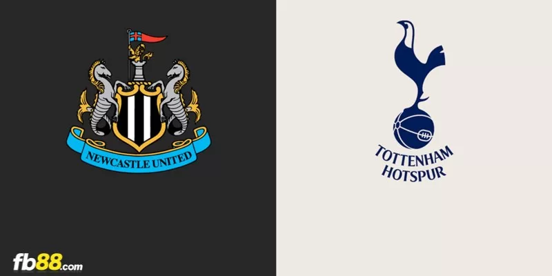 Soi kèo trận đấu Newcastle vs Tottenham 18h30 13/04/2024