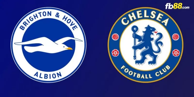 Soi kèo trận đấu Brighton vs Chelsea 01h45 ngày 16/05/2024