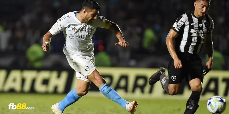 Nhận định trận đấu Gremio vs Botafogo