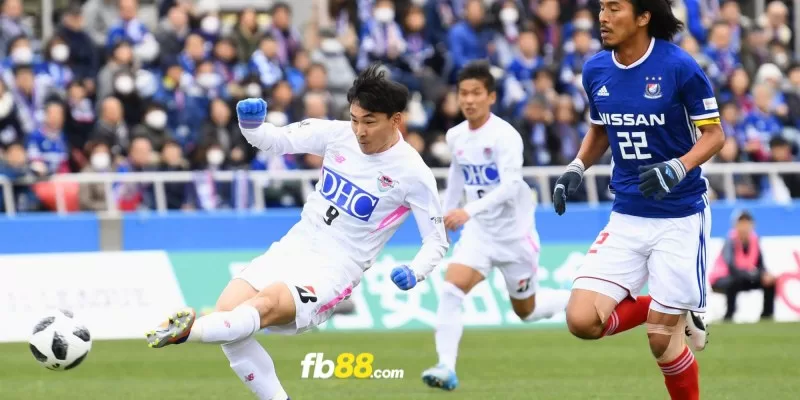 Nhận định Yokohama FM vs Machida Zelvia